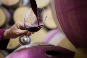 La vitamina clave para la producción de vino