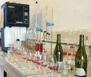 La empresa manchega que ayuda a 5.000 bodegas a crear nuevos vinos