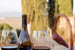 La sostenibilidad y la excelencia ya son elementos diferenciales para el consumidor de vino, dicen los expertos en UNIR