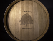 Economía circular: H&A inspira eco responsabilidad en el sector de la viña